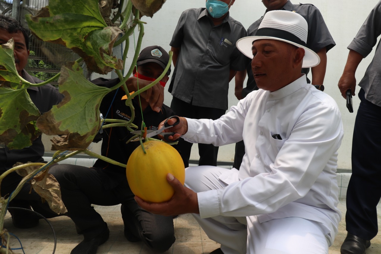 Wakil Ketua Umum DPP HKTI, HM Arum Sabil saat diajak melihat fasilitas pengembangan buah Melon varietas Kinanti di kampus Polije. (Istimewa/ Humas Polije )